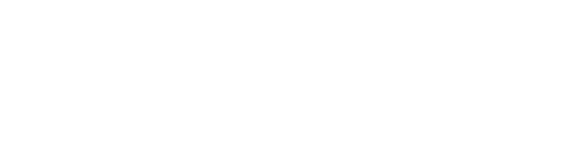 SPAIC Logo